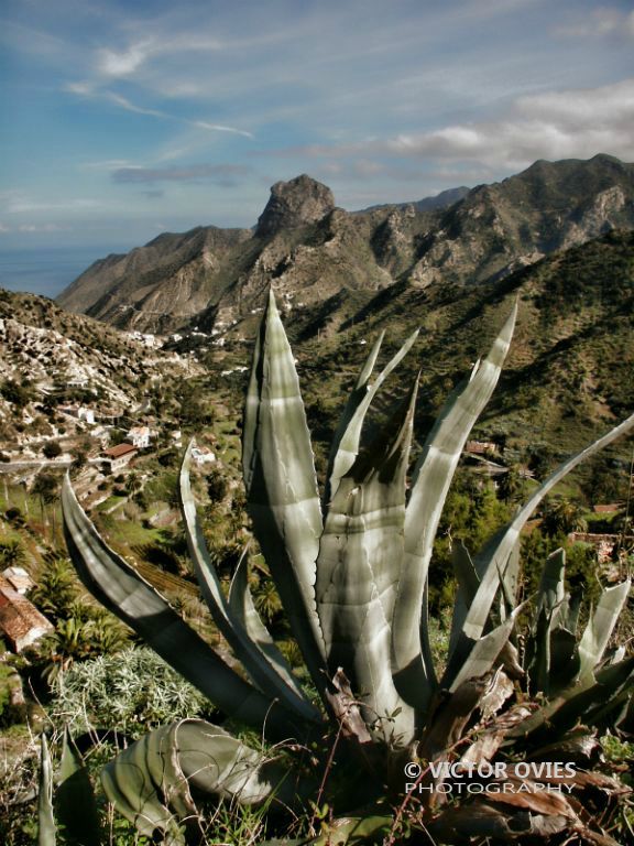 Vallehermoso